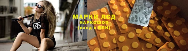 PSILOCYBIN Алзамай