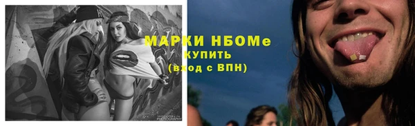 PSILOCYBIN Алзамай