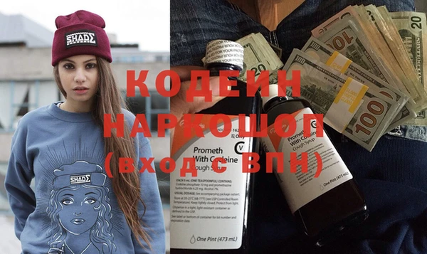 PSILOCYBIN Алзамай