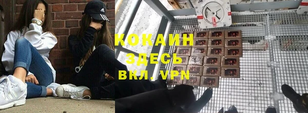 сатива Алексин